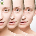 Poudre de blanchiment de la peau cosmétique Ingrédient 99% d&#39;acide férulique